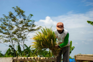 Pembangunan Berkelanjutan dari Desa ke Kota
