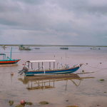 Jalan tol laut Indonesia menghubungkan pulau-pulau besar