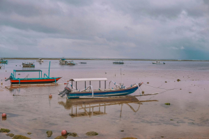 Jalan tol laut Indonesia menghubungkan pulau-pulau besar